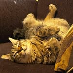Donald Trapp - @donald.trapp.71 - Instagram