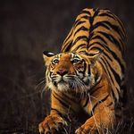 Donald J. Vath - @donjeffvath2020 - Instagram