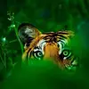 Donald J. Vath - @user28212028 - TikTok
