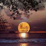 @donaldvath51 - Instagram