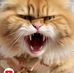 Donald Vazquez - Facebook