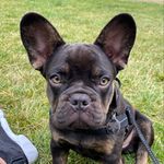 Donald Velez - @donaldtrumpedagain - Instagram