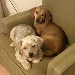 Donald Wesley - @donald.wesley - Instagram