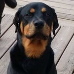 Donald Whaley - @stratmon2002 - Instagram