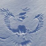 donald wheaton - @wheaton1966 - Instagram