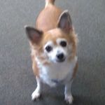 Donald Wheaton - @wheaton237 - Instagram