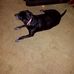 Donald Whitcomb - Facebook