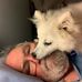 Donald Whitlock - Facebook