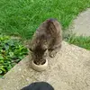 Donald Widmann - @donald.widmann - TikTok