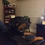 Donald Wilkinson - @lilsweet007 - Instagram