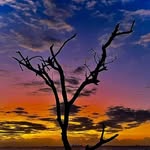Donald Wiseman Phungula - @donaldwisemanp - Instagram