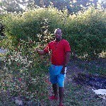 Donaldworrell - @donaldworrel.dw - Instagram