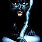 Donald Wright Sr. 51 AKA Byrd - @thekilluminator808 - Instagram