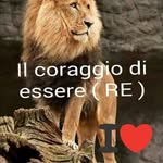 Donato Carbone - @donato.carbone50 - Instagram