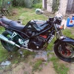 Donato Carbone - @donato_carbone2597 - Instagram