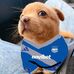 Donato Jimenez - Facebook