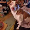 Donna Marie - @donna_partipilo1020 - TikTok