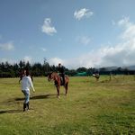 DONATO ROJAS - @donato9674 - Instagram