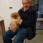 Donato Sciarra - Facebook