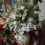 Donato Vasquez - Facebook