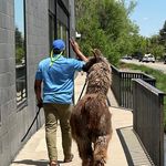 Donavan Bennett - @donavan13 - Instagram