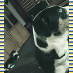 Donavan Clarke - @donavan.clarke.127 - Instagram