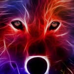 Donavan Daniel Long - @appleman8385 - Instagram