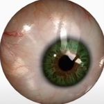 Donavan Davis - @gaming_goblin482 - Instagram