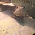 Donavan Herrera - @littel_shit - Instagram