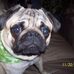 Donavan Holbert - Facebook