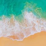 Donavan Holbert - @d.holbert - Instagram