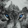 Donavin Wise - @donavinwise - TikTok