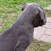 Donavon Alexander - @donavon.alexander - TikTok
