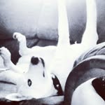 donavonthomas - @just_a_friendly_person - Instagram