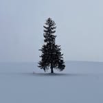 ❄️ - @dong.0.lim - Instagram