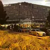 Dong Lim - @dong.lim1 - TikTok