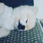 권동림 - @donglimkwon - Instagram