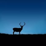 黄东 - @dongwong - Instagram