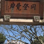 Dong Xie - @dong.xie.338 - Instagram