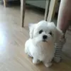 Donghun Lee - @30467269849 - TikTok