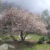 Dong Jun Lee665 - @dongjunlee67 - TikTok