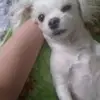 Dong Jun Lee - @dongjunlee01 - TikTok