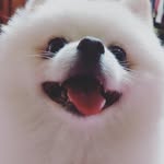 DongJun Lee - @g.physicist - Instagram