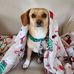 Donna Watson - Facebook