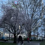 @donikashehu - Instagram