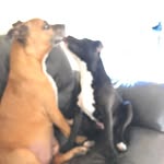 Donna Jackson - @donnajackson76192023 - Instagram