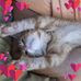 Donna Abney - Facebook