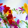 Donna Gail AbneyVires - @donna.gail.abneyv - TikTok