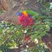 Donna Abraham - Facebook