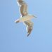 Donna Abraham - Facebook